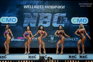 WELLNESS НОВИЧКИ